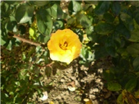 5868c65f-Picture 862.jpg